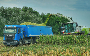 AFIR: Peste 15 milioane euro pentru asigurarea culturilor, animalelor și plantelor