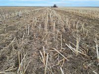 Unelte importante în agricultură, auditul de carbon și analizele de sol