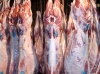 Saga E-coli în carnea de oaie continuă: Din 69 de probe la care s-a confirmat prezența bacteriei, mai bine de 38 au fost recoltate de pe suprafața carcasei de ovine (testul de sanitație)