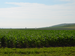Produse biologice pentru protecția culturilor, prin parteneriatul Corteva Agriscience și Dadelos Agrosolutions