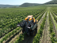 Cum pot contribui fermierii la combaterea risipei alimentare