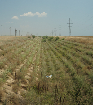 România, polul secetei de guvernanți