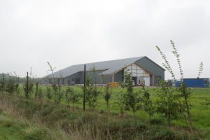 Noi scheme de sprijin pentru crescătorii de bovine, ovine/caprine și pentru sectorul legume-fructe și cartofi