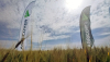 Agricover prezintă rezultatele pentru primul semestru din 2024