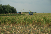 Implementarea de urgență a creditelor subvenționate pentru sectorul agricol, solicitarea fermierilor