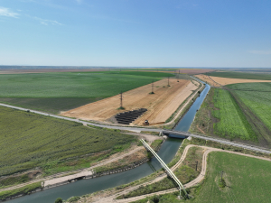 Strategii făcute pe genunchi de neaveniți, împreună cu AI, care îngroapă agricultura
