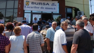 Au fost aprobate în ședință de Guvern compensaţiile pentru şomerii din fermele de suine