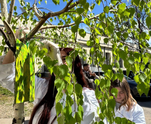 PlantProtectLab: De la capcane lipicioase la primele rezultate științifice