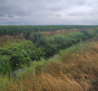 Viitorul agriculturii, cosmetizat de Comisia Europeană, sună a pagubă
