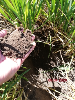 Ministerul Agriculturii, surd la strigătul de ajutor al fermierilor