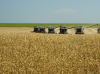 Un eveniment pentru fermieri, Romanian Agri Trade Summit