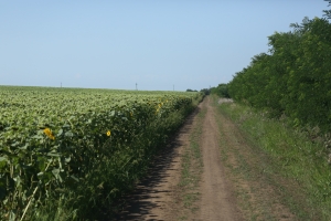 Rezultatele cercetării trebuie să se regăsească în ferme