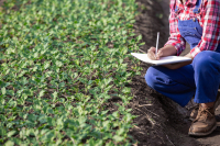 Grânarii Iași solicită MADR măsuri care să sprijine real agricultura românească