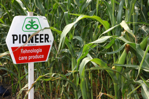 De 95 de ani lider în agricultură, Pioneer®