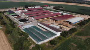 Fermierii pot construi pe terenuri extravilane. Nu mai e necesar PUZ de trecere în intravilan
