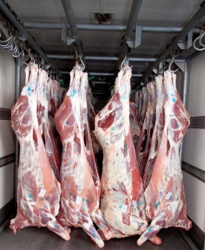 Abatoarele au sacrificat mai multe bovine, dar numărul total de tăieri a scăzut de la an la an. La porc stăm și mai rău