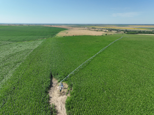 Strategia privind conservarea biodiversității, încă o piedică pentru agricultura românească
