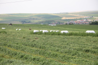 Sprijin financiar pentru fermieri printr-un împrumut BEI către Agricover Credit
