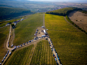 Vinea Apoldia Maior Fest 2025, în vie la Apoldu de Sus