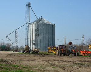 Clarificări de la AFIR privind sprijinul pentru instalarea tinerilor fermieri