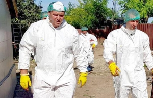 Din 27 de focare de PPA confirmate în județul Bihor, 26 sunt în gospodăriile populației