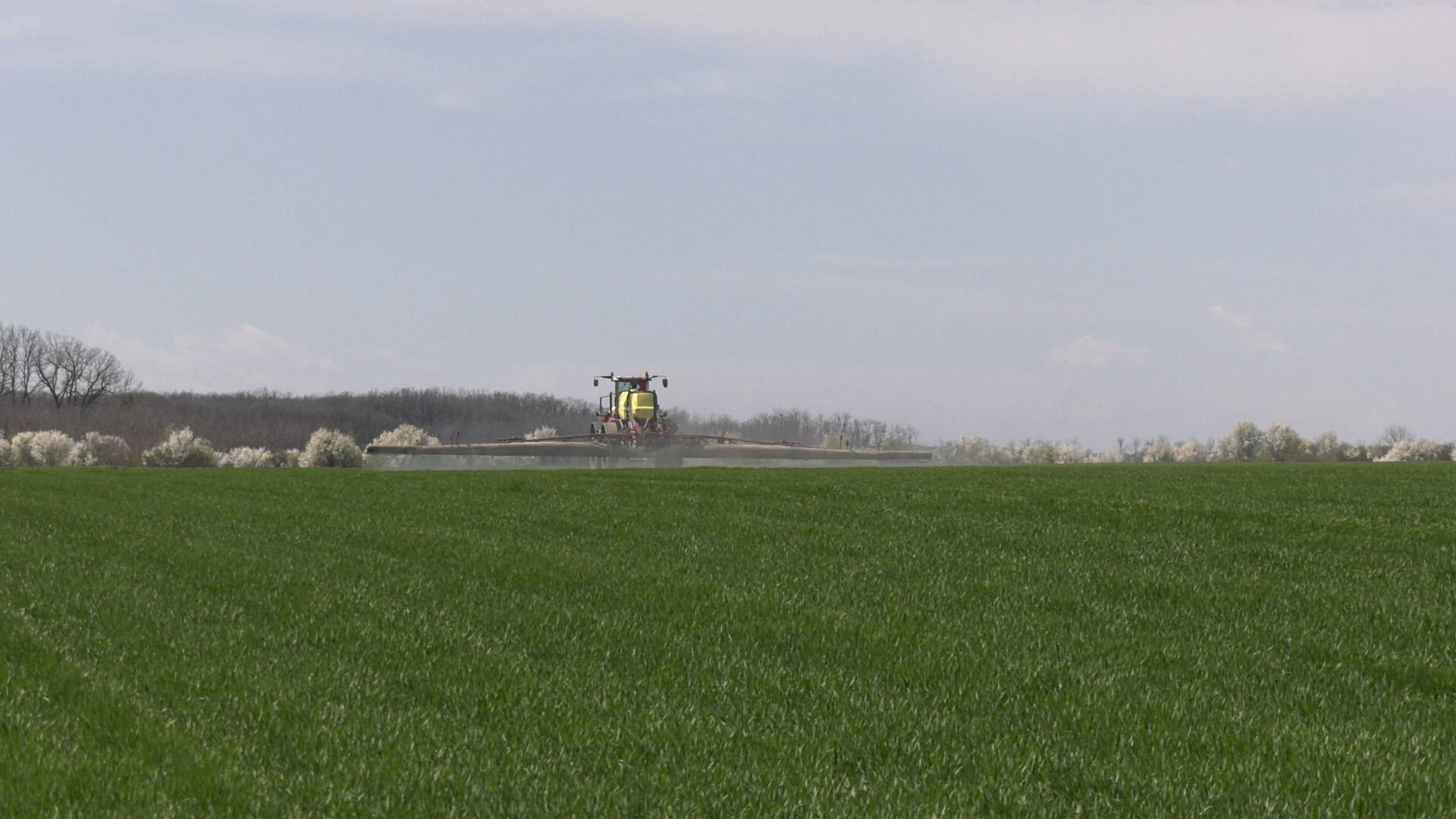 Protecție pentru fertilizanți, solicitarea fermierilor către eurodeputații români