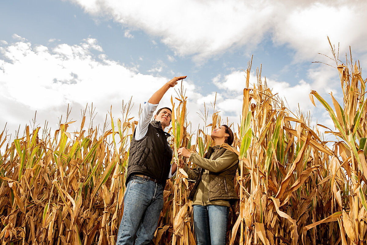 Viitorul porumbului e aici, Preceon Smart Corn System de la Bayer