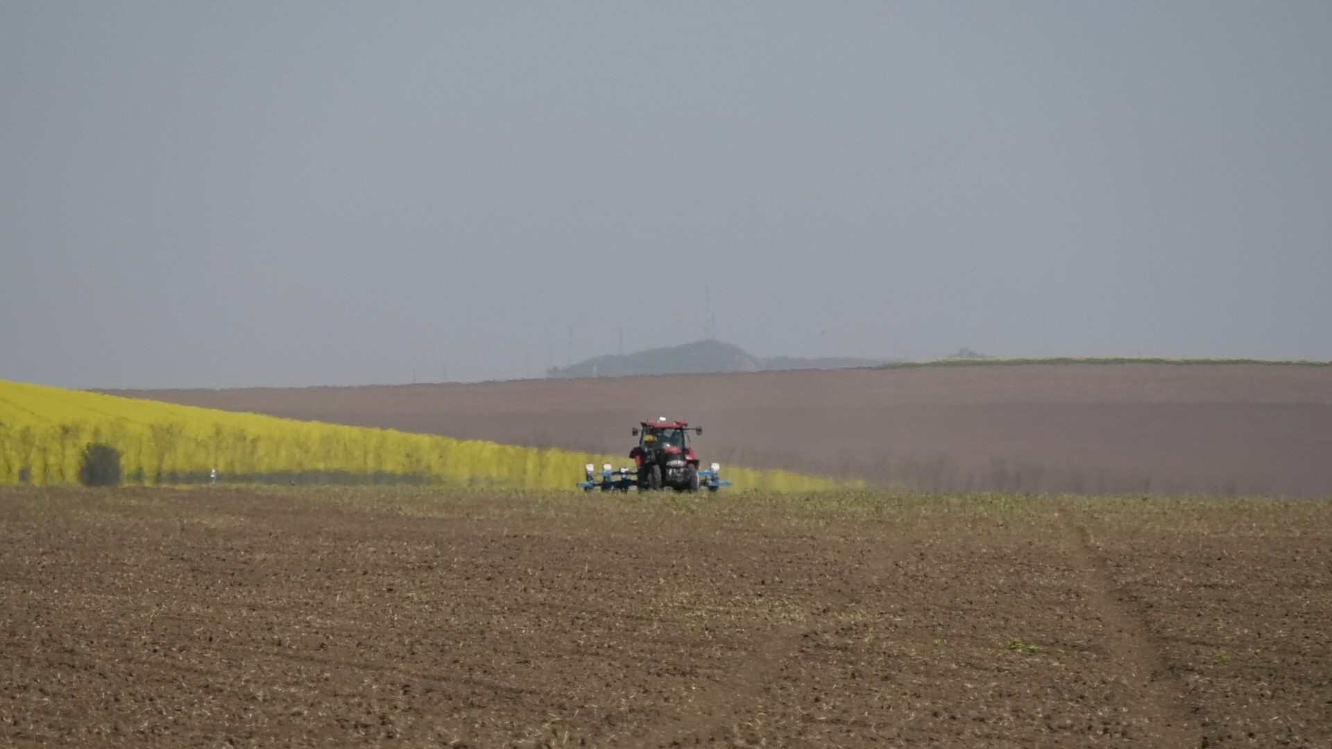 Agricultură la poalele Ceahlăului. A alege ieftin te poate costa mai scump