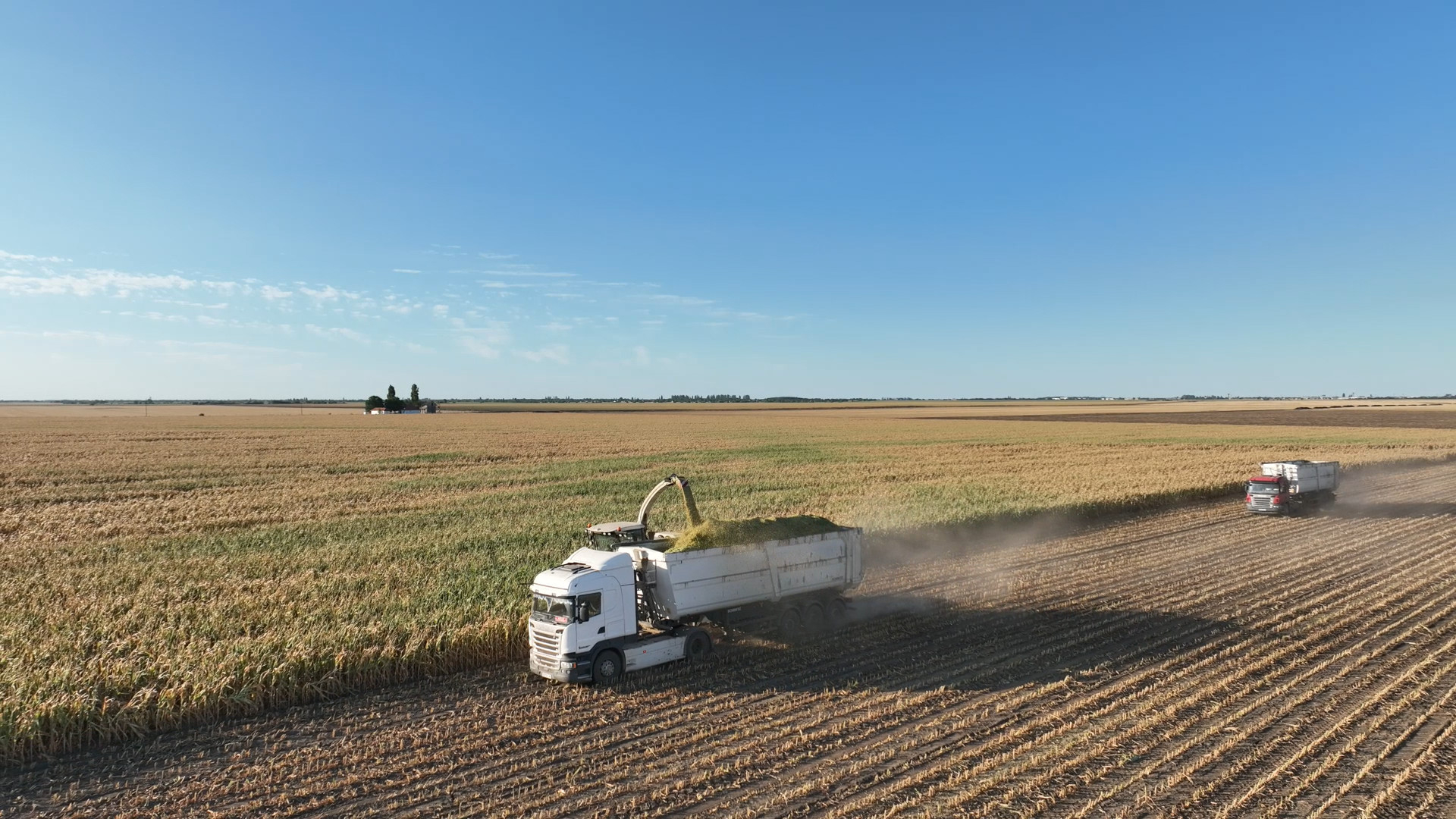 UE - Ucraina, parteneriat pentru autonomie în comerțul agroalimentar