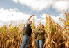 Viitorul porumbului e aici, Preceon Smart Corn System de la Bayer