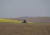 Agricultură la poalele Ceahlăului. A alege ieftin te poate costa mai scump