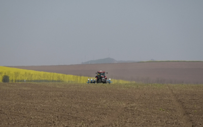 Agricultură la poalele Ceahlăului. A alege ieftin te poate costa mai scump