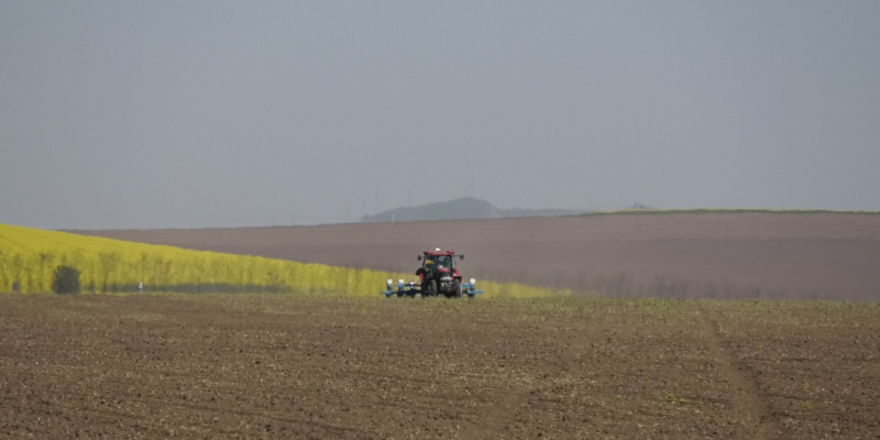 Agricultură la poalele Ceahlăului. A alege ieftin te poate costa mai scump