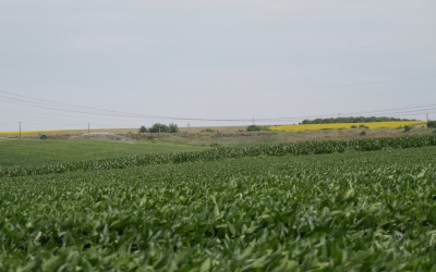 Fermierii nu au nevoie de noi costuri! O strategie trebuie să protejeze deopotrivă biodiversitatea și viitorul agriculturii românești