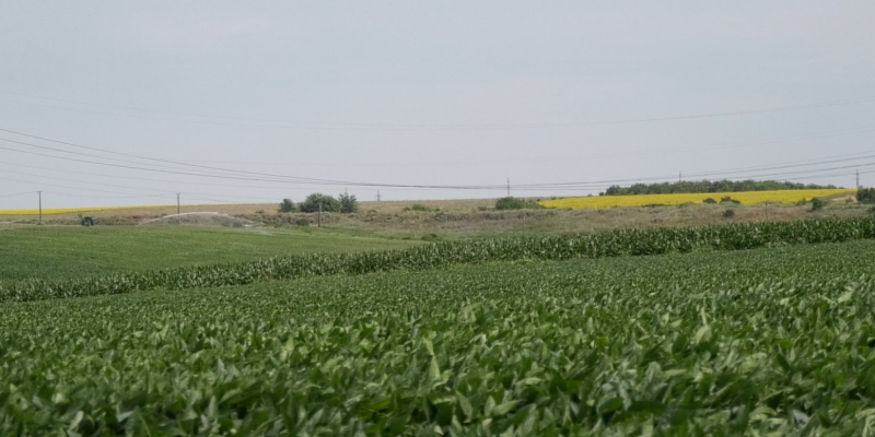 Fermierii nu au nevoie de noi costuri! O strategie trebuie să protejeze deopotrivă biodiversitatea și viitorul agriculturii românești