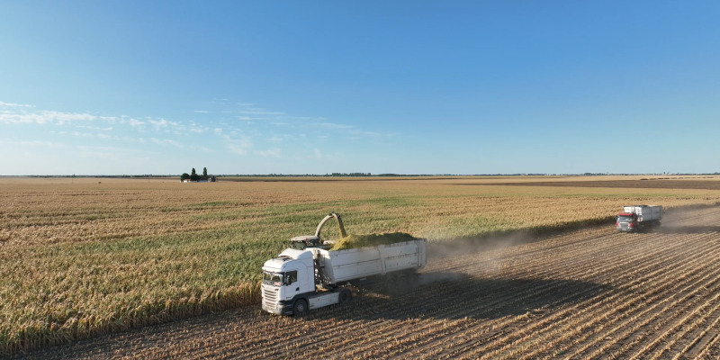 UE - Ucraina, parteneriat pentru autonomie în comerțul agroalimentar