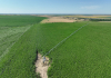 Strategia privind conservarea biodiversității, încă o piedică pentru agricultura românească