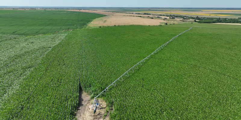 Strategia privind conservarea biodiversității, încă o piedică pentru agricultura românească